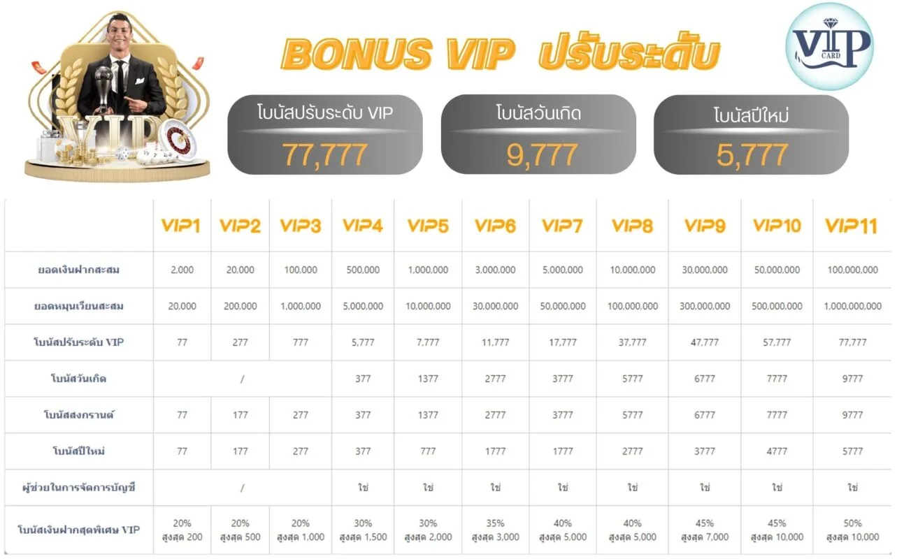 โปรแกรม VIP