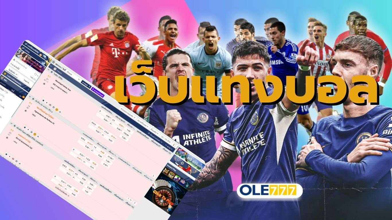 เว็บแทงบอล